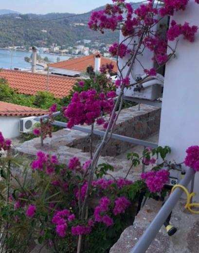 Veranda Blue - Poros Poros Town Eksteriør bilde